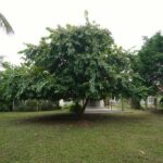 listing image thumbnail with ID 86684