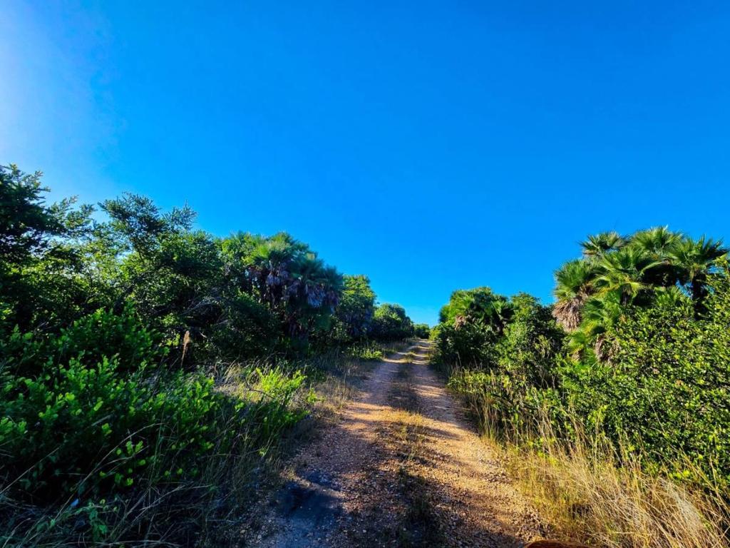 listing image with ID 105414