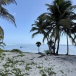listing image thumbnail with ID 100246
