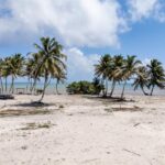 listing image thumbnail with ID 95464