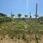 listing image thumbnail with ID 107407