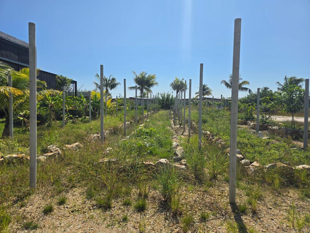listing image with ID 107407