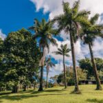 listing image thumbnail with ID 74540