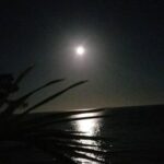 listing image thumbnail with ID 88417