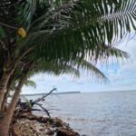 listing image thumbnail with ID 76073