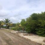 listing image thumbnail with ID 74677