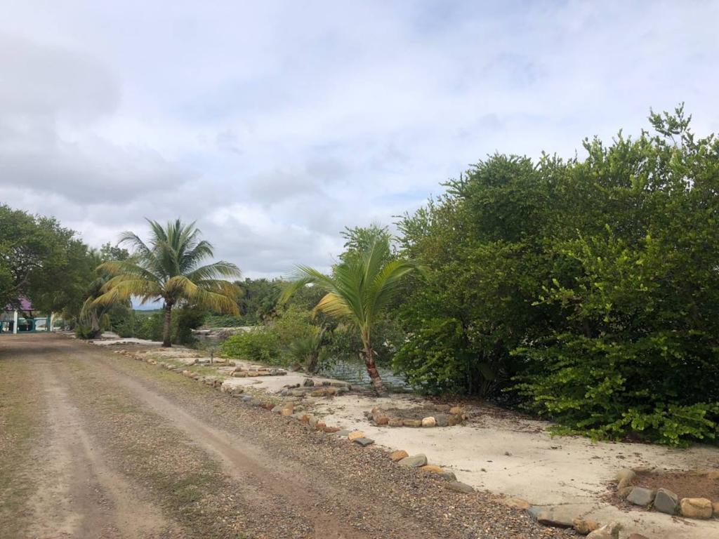 listing image with ID 74677