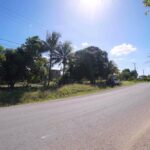 listing image thumbnail with ID 85477