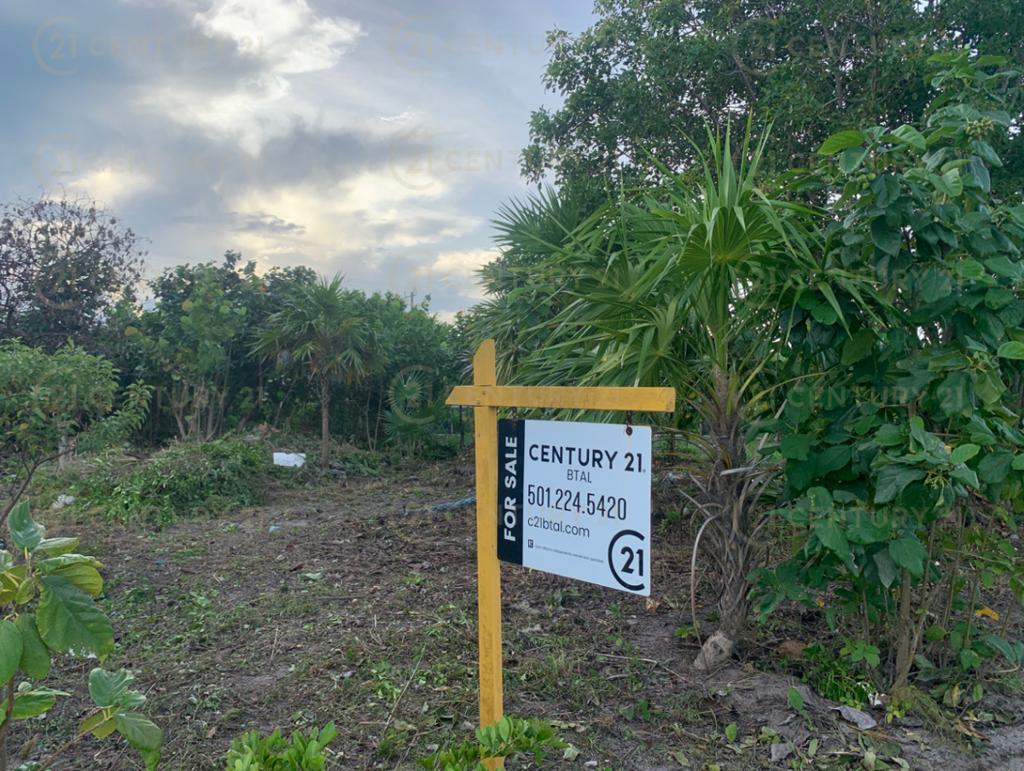 listing image with ID 97416