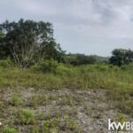 listing image thumbnail with ID 92663