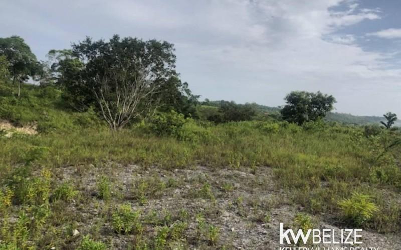 listing image with ID 92663