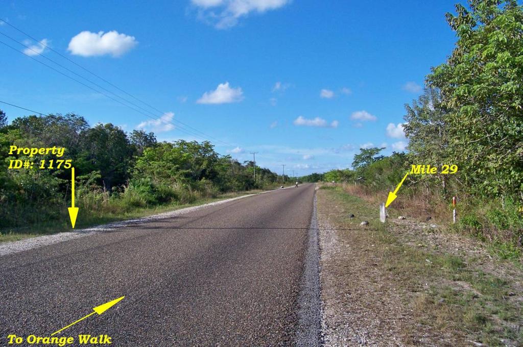 listing image with ID 78132