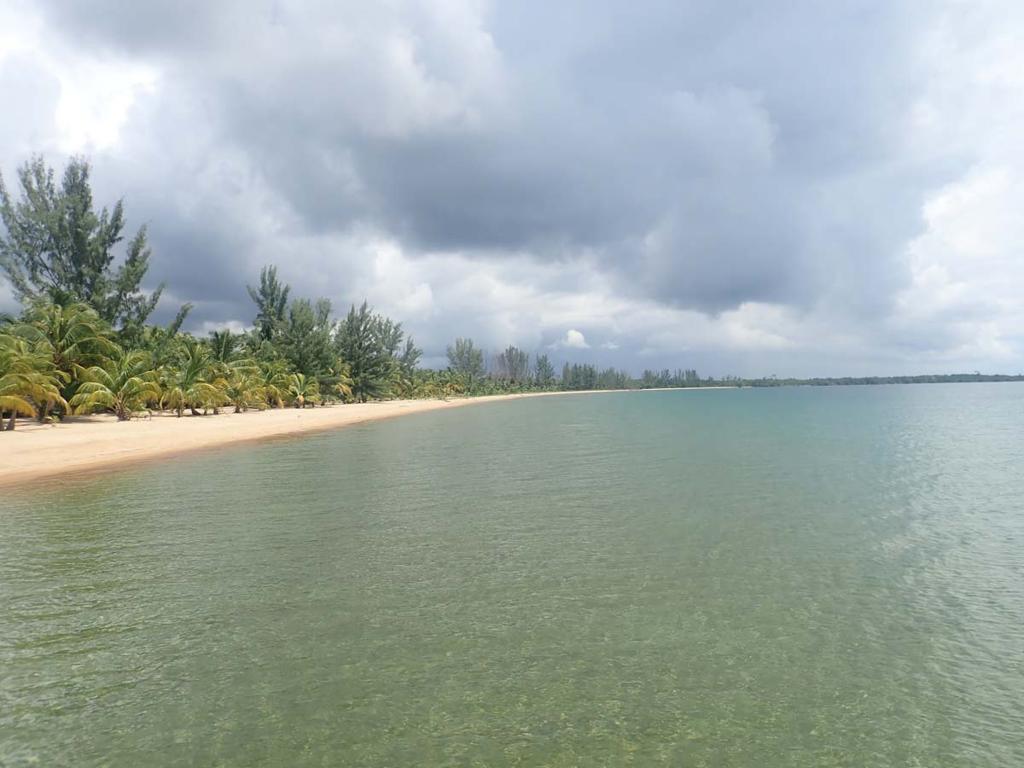 listing image with ID 97059