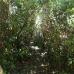 listing image thumbnail with ID 92467