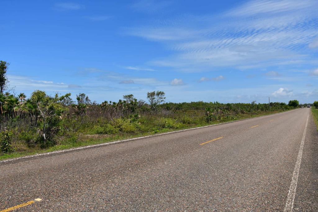 listing image with ID 86350