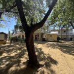 listing image thumbnail with ID 74861