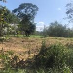 listing image thumbnail with ID 103026