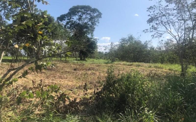 listing image with ID 103026