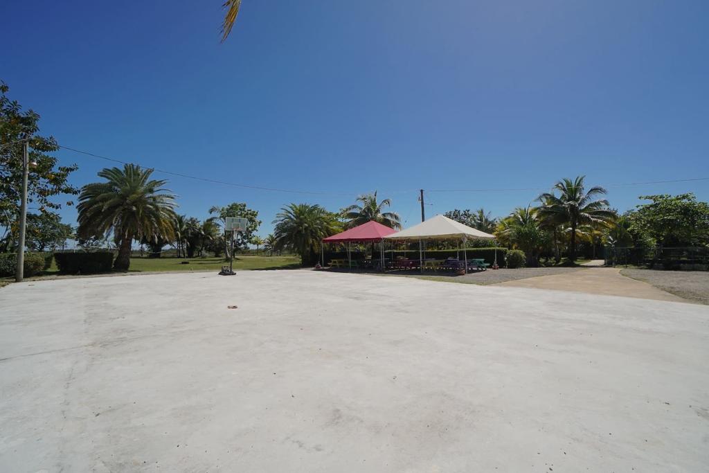 listing image with ID 88114