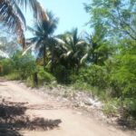 listing image thumbnail with ID 94606