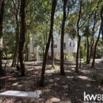 listing image thumbnail with ID 108698