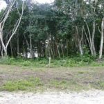 listing image thumbnail with ID 78063