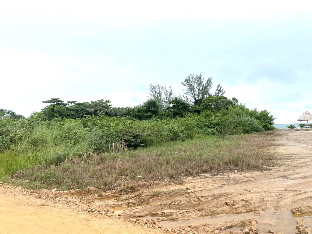 listing image with ID 79729
