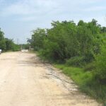 listing image thumbnail with ID 90139
