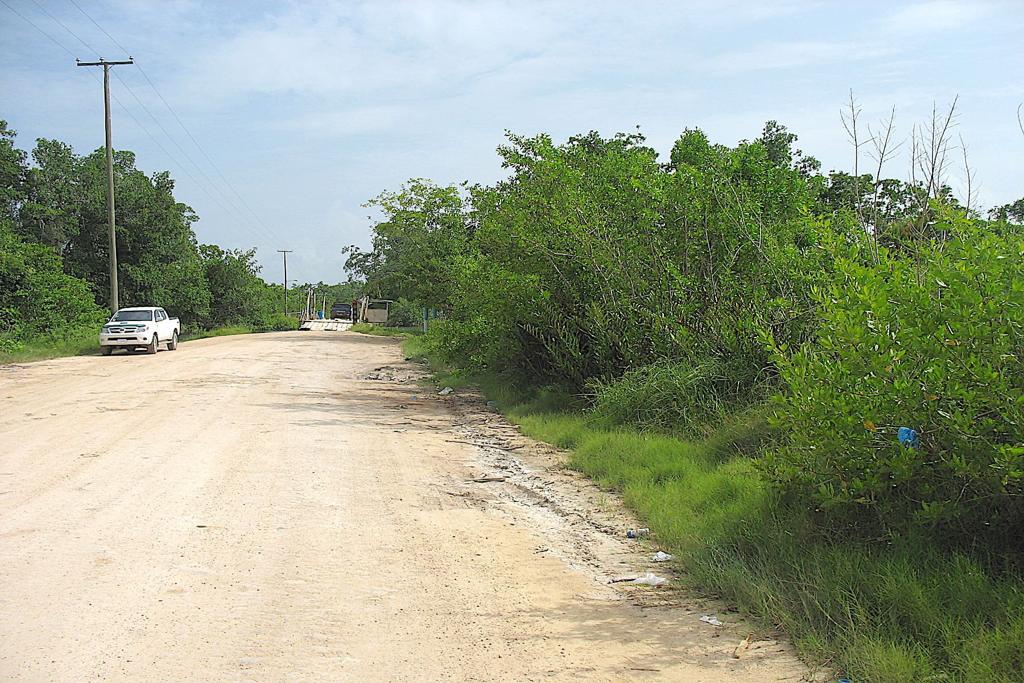listing image with ID 90139