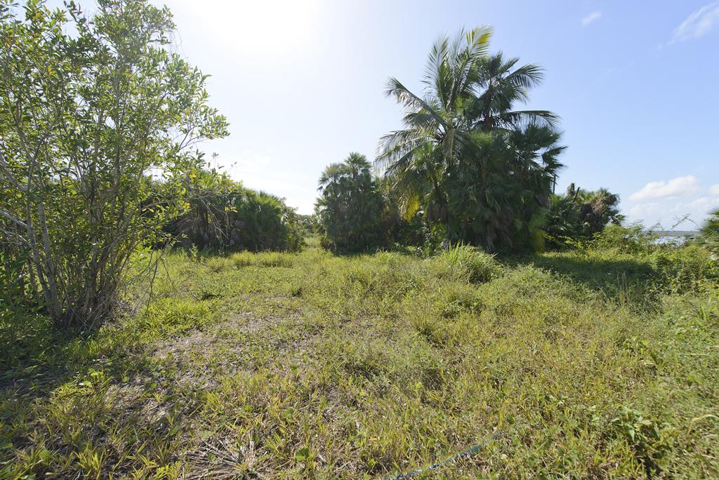 listing image with ID 80966