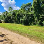 listing image thumbnail with ID 106517