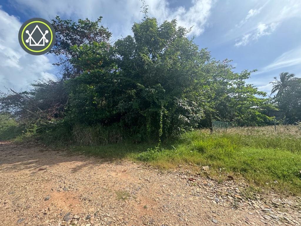 listing image with ID 106589