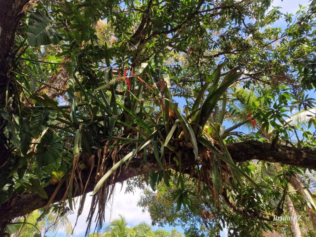 listing image with ID 106619