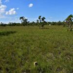 listing image thumbnail with ID 108593