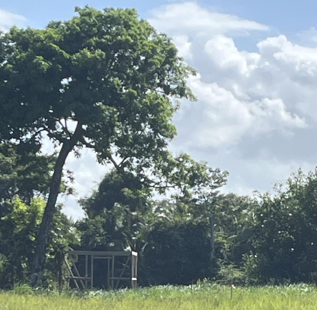 listing image with ID 100609