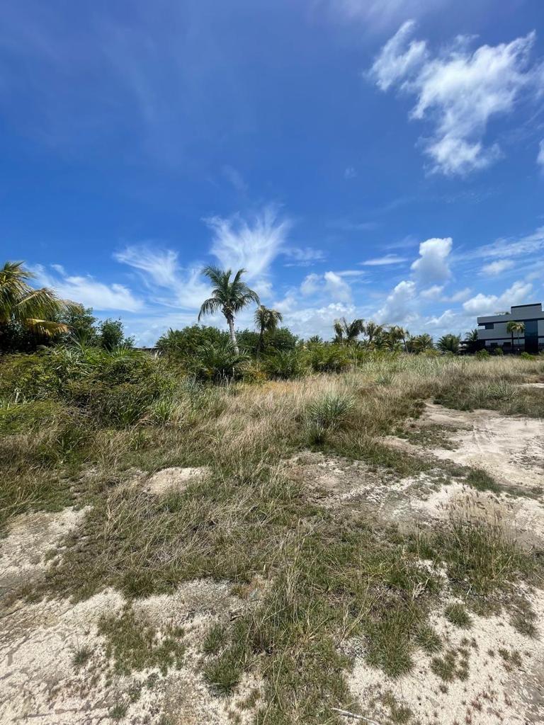 listing image with ID 79336