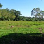 listing image thumbnail with ID 104437
