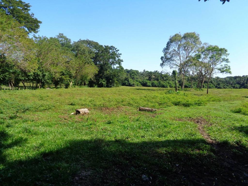 listing image with ID 104437