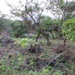 listing image thumbnail with ID 104867