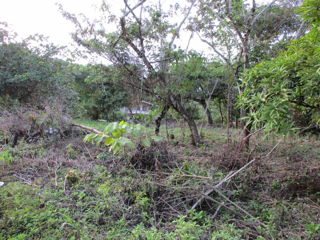listing image with ID 104867