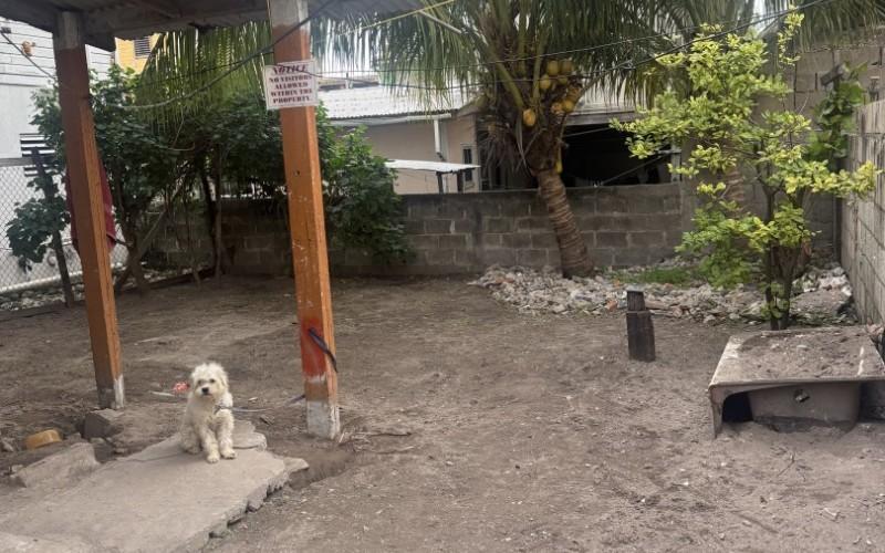 listing image with ID 99001