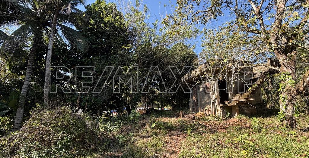 listing image with ID 79666