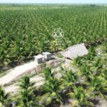 listing image thumbnail with ID 107905