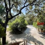 listing image thumbnail with ID 87962
