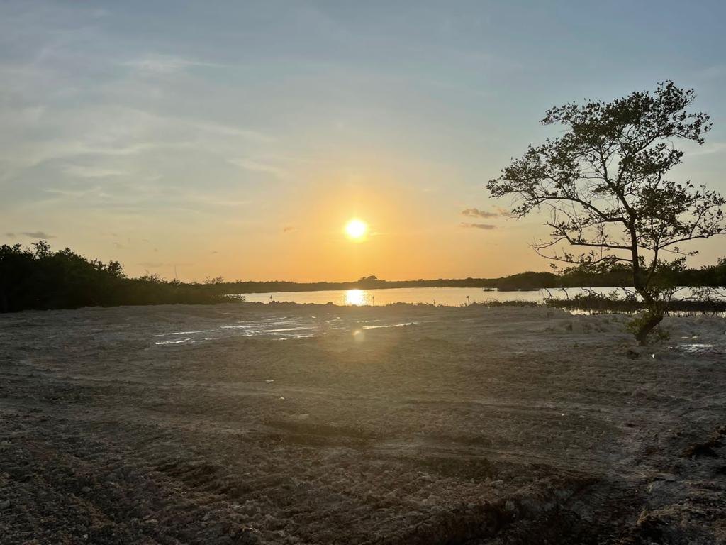 listing image with ID 92695