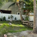 listing image thumbnail with ID 100498
