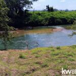 listing image thumbnail with ID 102483