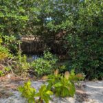 listing image thumbnail with ID 78365