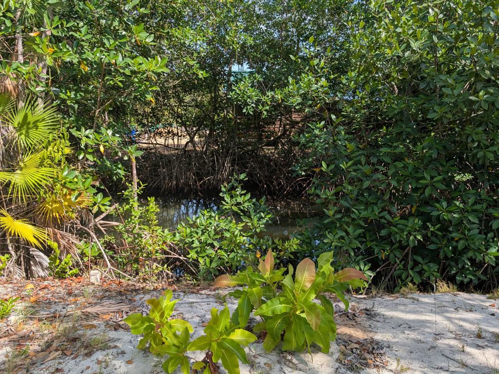listing image with ID 78365