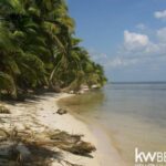 listing image thumbnail with ID 77335